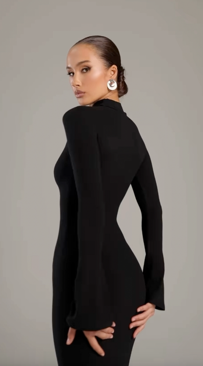 Noire｜Turtleneck Maxi Dress